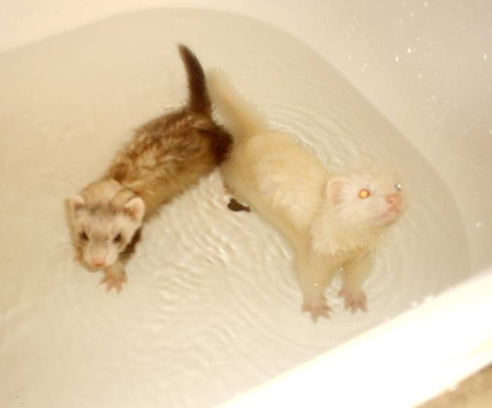 babys1stbath.jpg